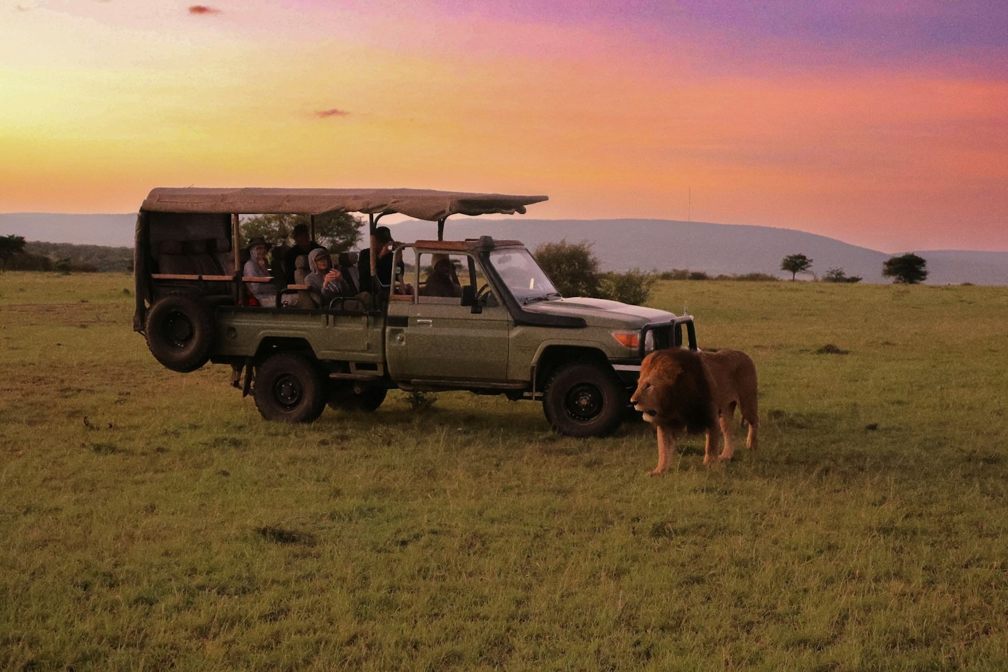 Inside Our Groundbreaking Wildlife Habitat Protection Projects
