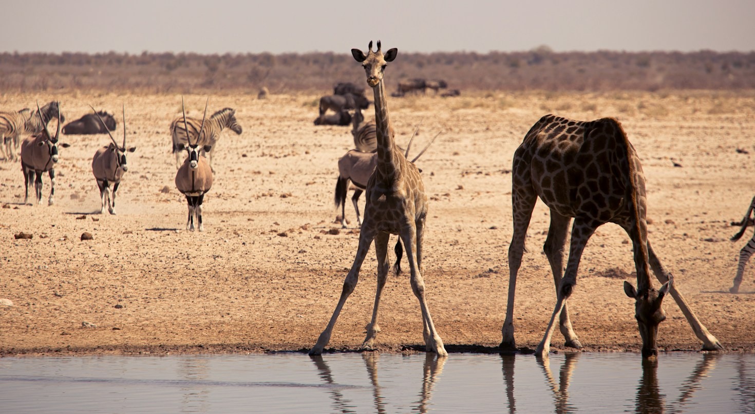 Five Ways Environmental Education Transforms Conservation Efforts