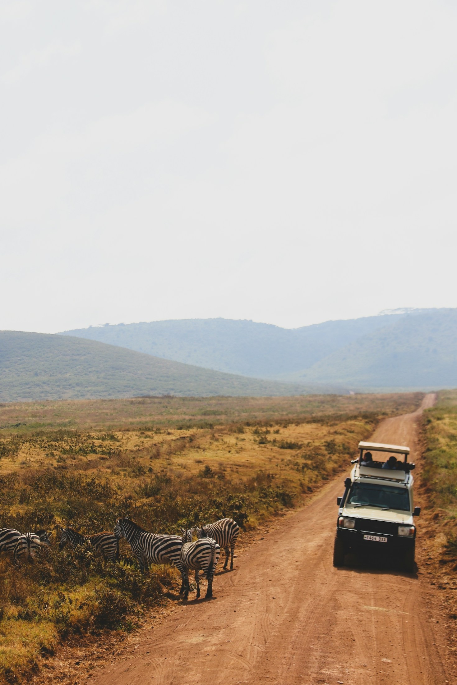 On the Frontlines: Protecting Africa’s Endangered Species