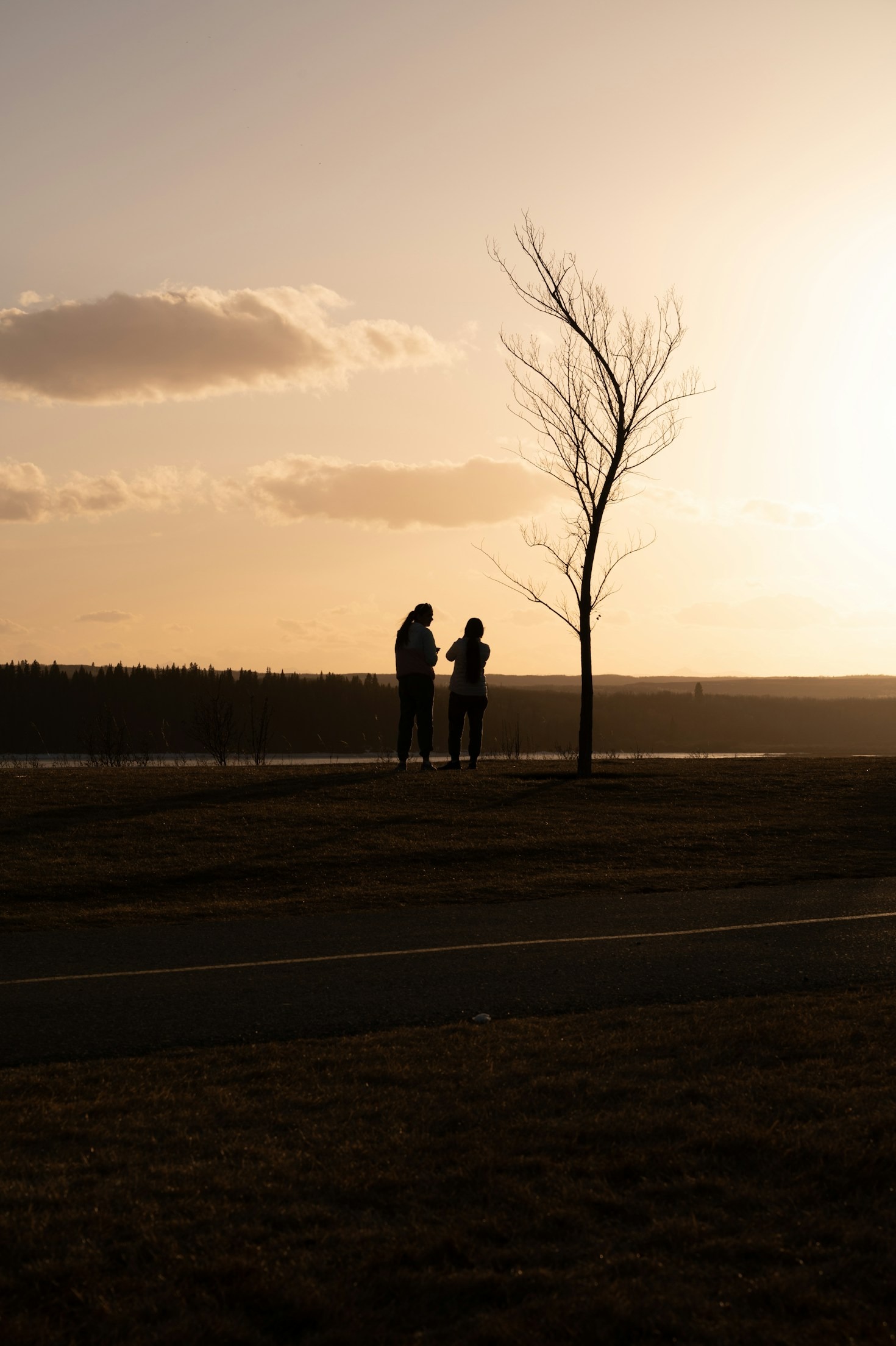 A Guide to Getting Involved in African Conservation