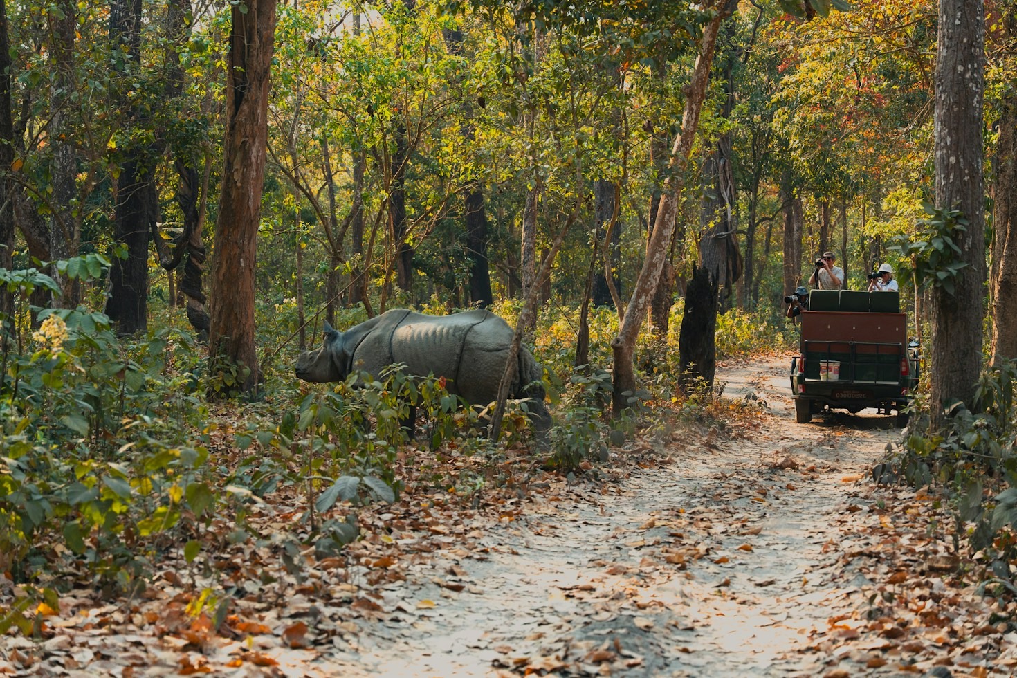 Restoring Ancient Migration Routes Across the Savannah